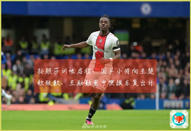 孙颖莎训练启程，国乒小将向王楚钦致歉，王励勤重申樊振东复出计划
